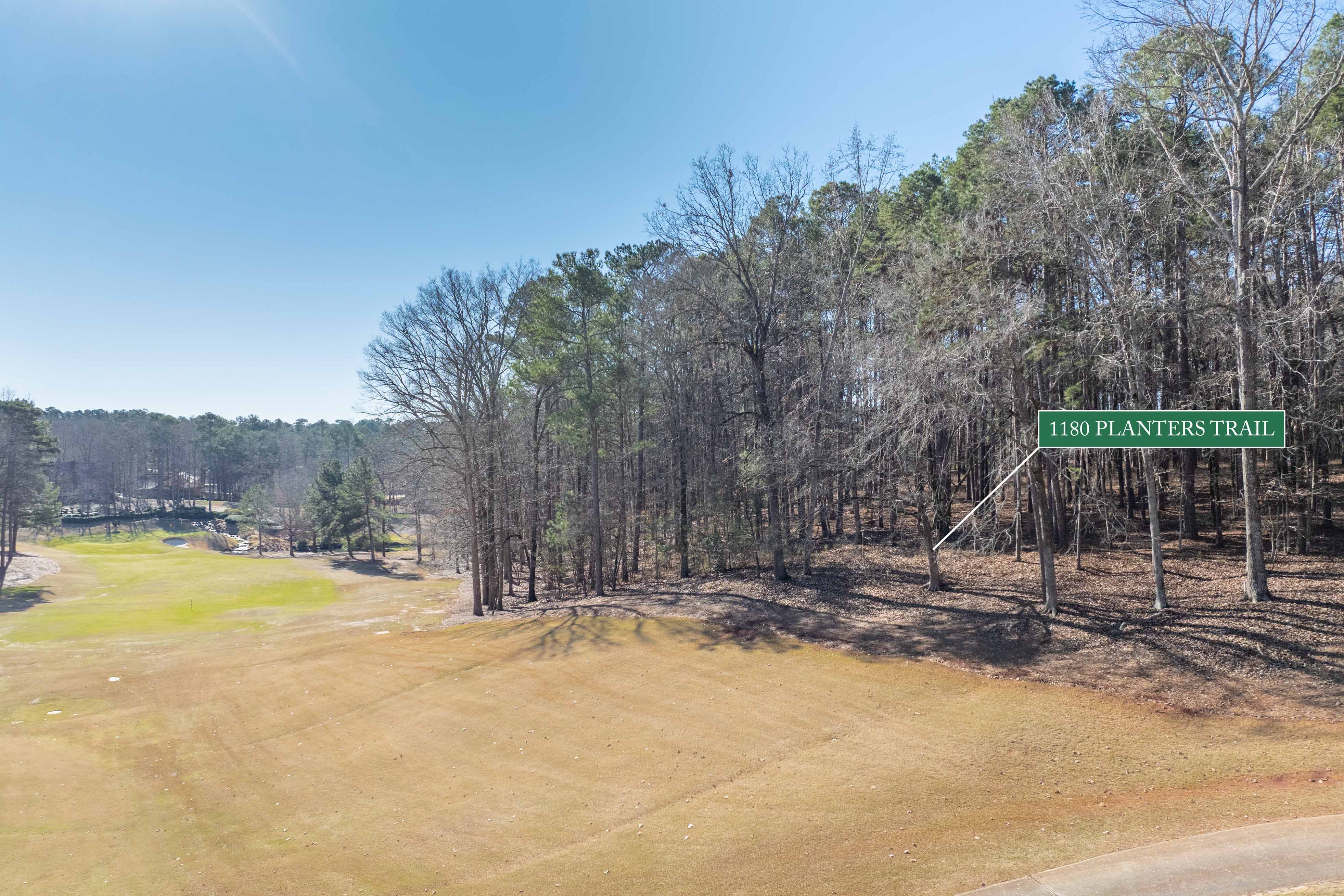 1180 Planter's Trail image 15